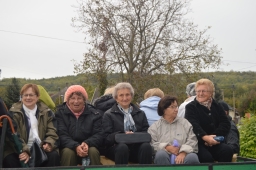 tapszuret19_89_20191012